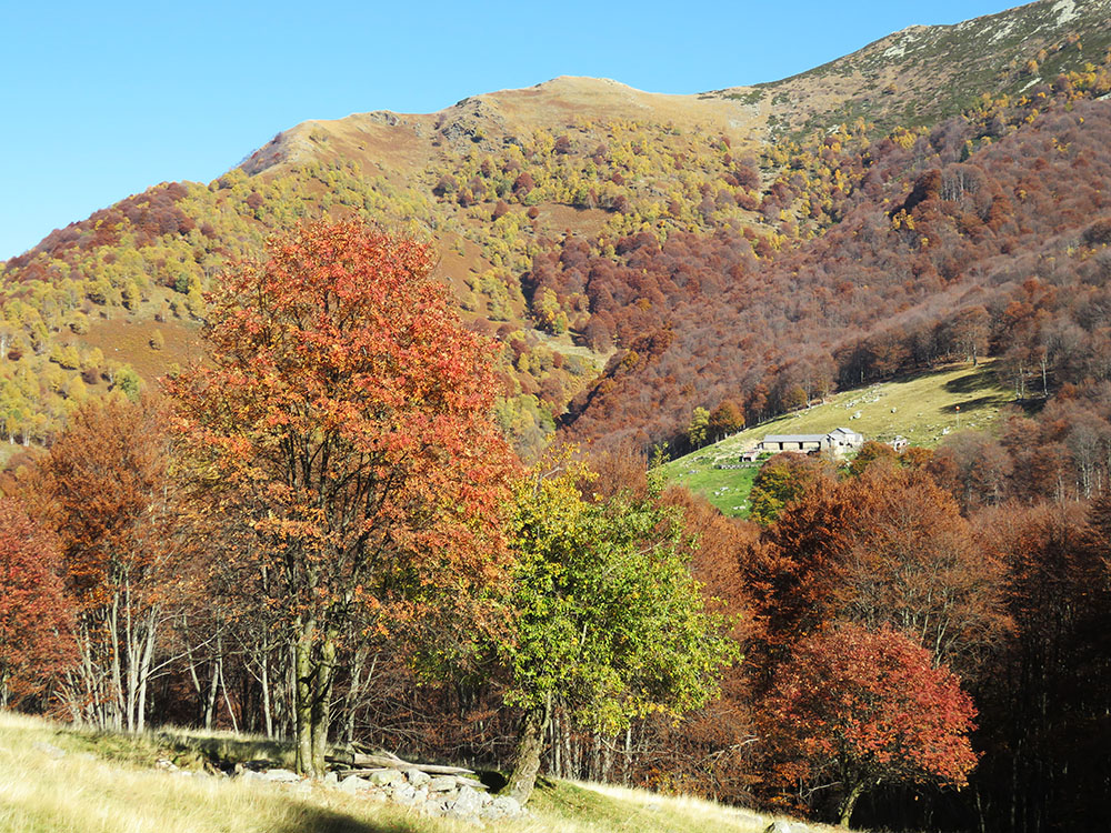 Autumn 2