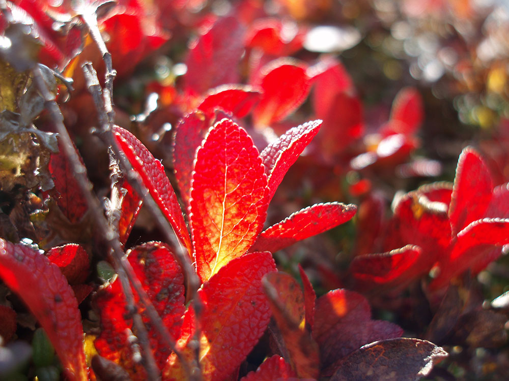 Autumn 3
