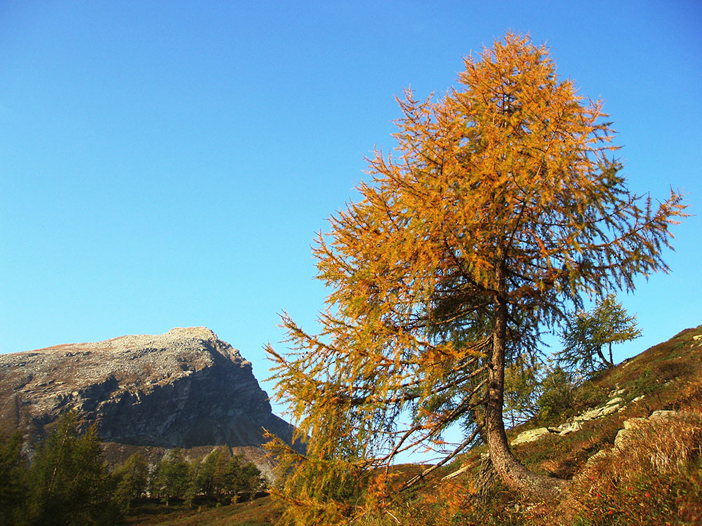 Autumn 4